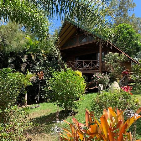 Le Nirvana - Oasis De Tendea - Farino Exterior photo